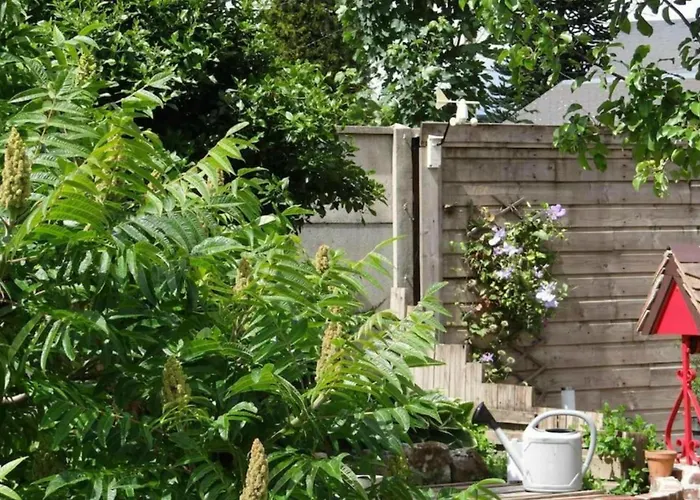 Clos Des Paquerettes : Maison Avec Jardin Privatif