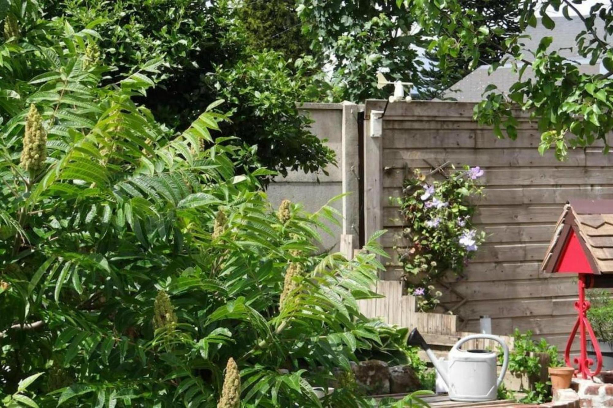 Clos Des Paquerettes : Maison Avec Jardin Privatif * Yvetot